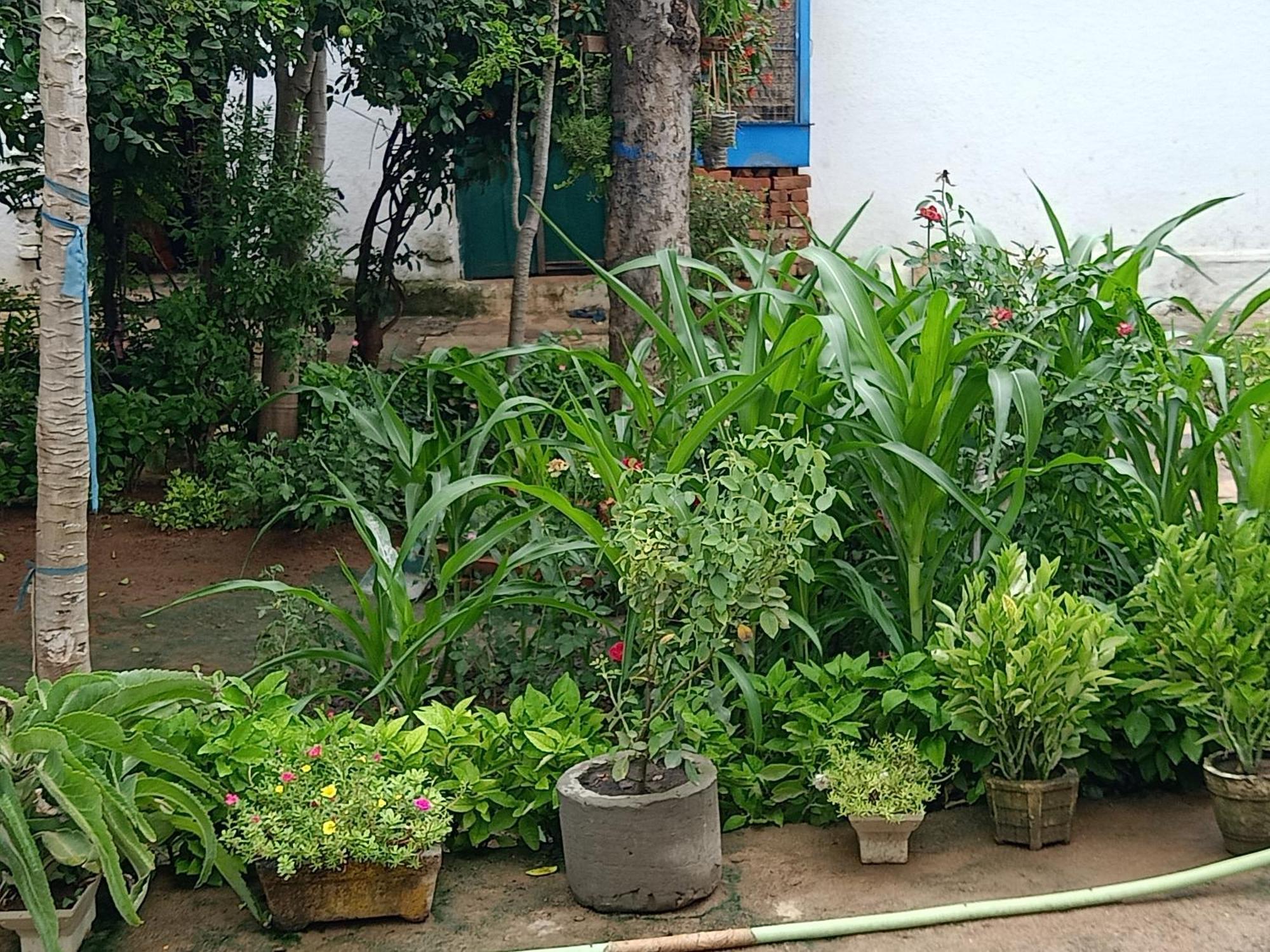 Khajuraho Rancho Apartment Ngoại thất bức ảnh