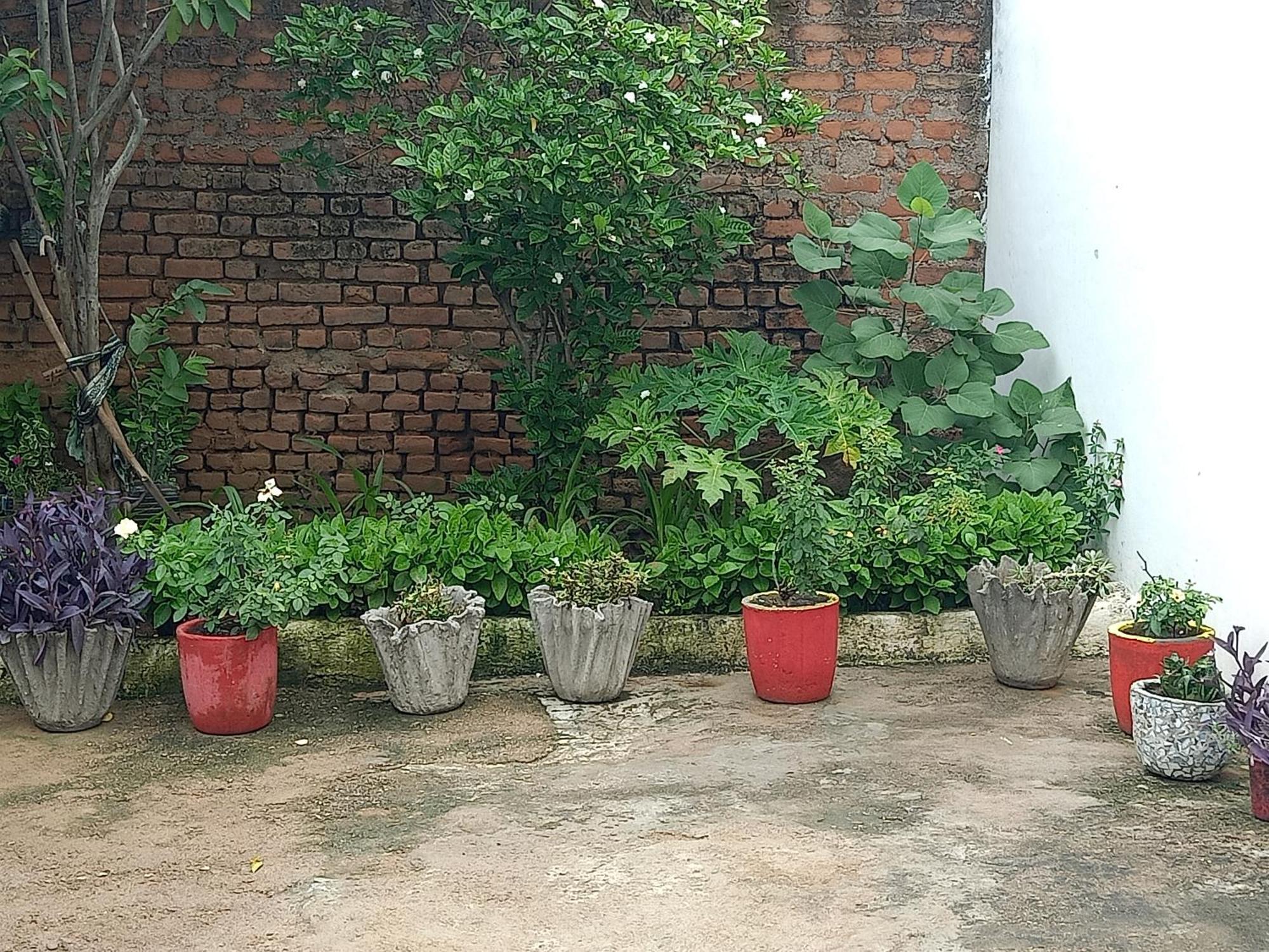 Khajuraho Rancho Apartment Ngoại thất bức ảnh