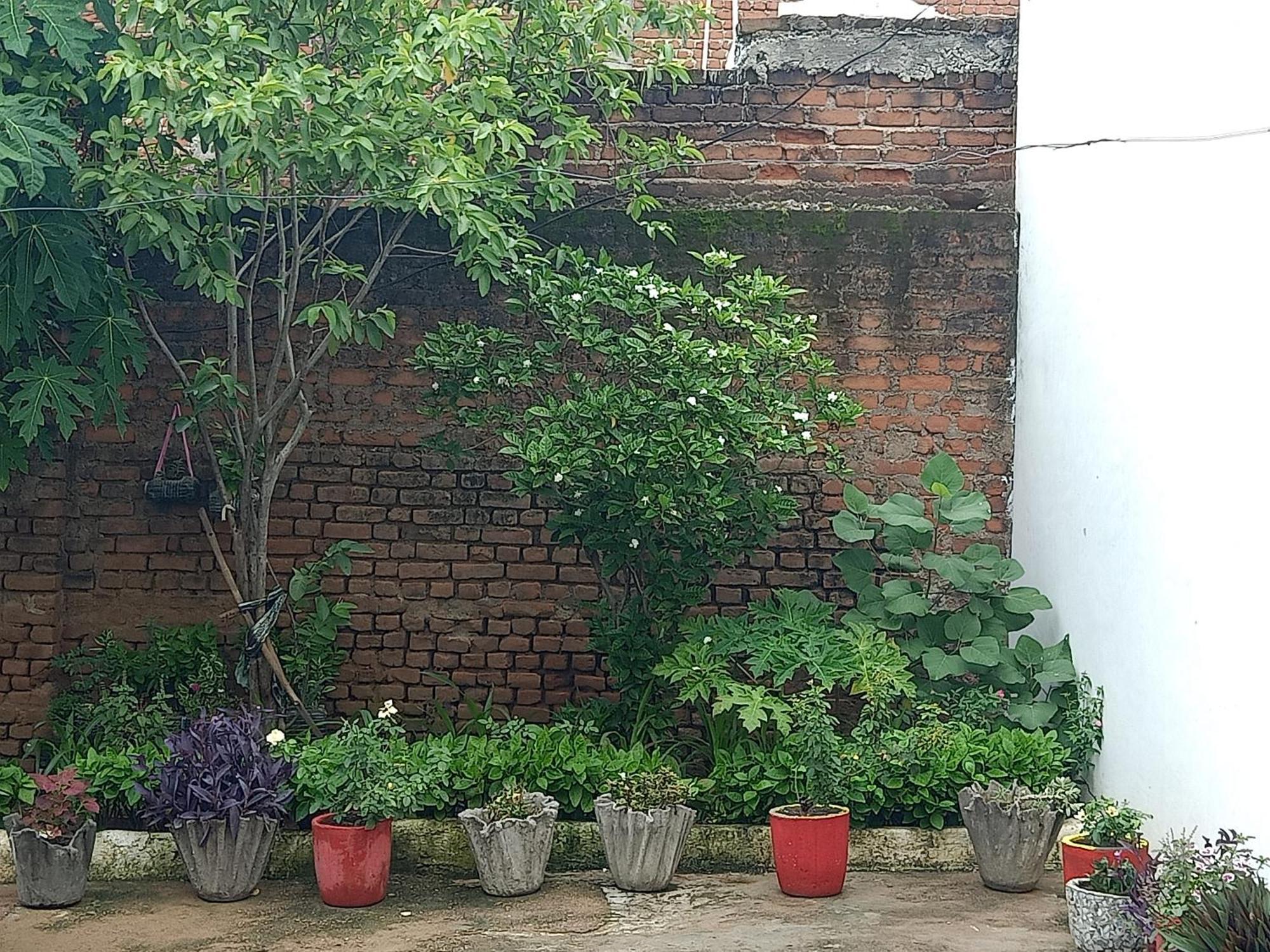 Khajuraho Rancho Apartment Ngoại thất bức ảnh